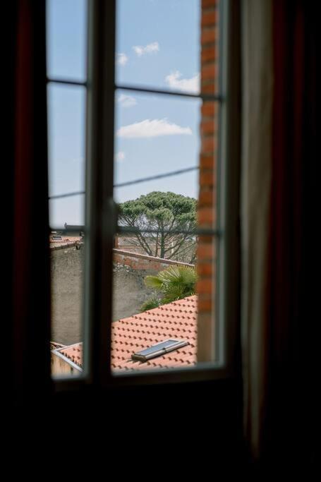 L'Oasis - Charme Et Confort Au Centre-Ville - Clim Albi Exteriér fotografie
